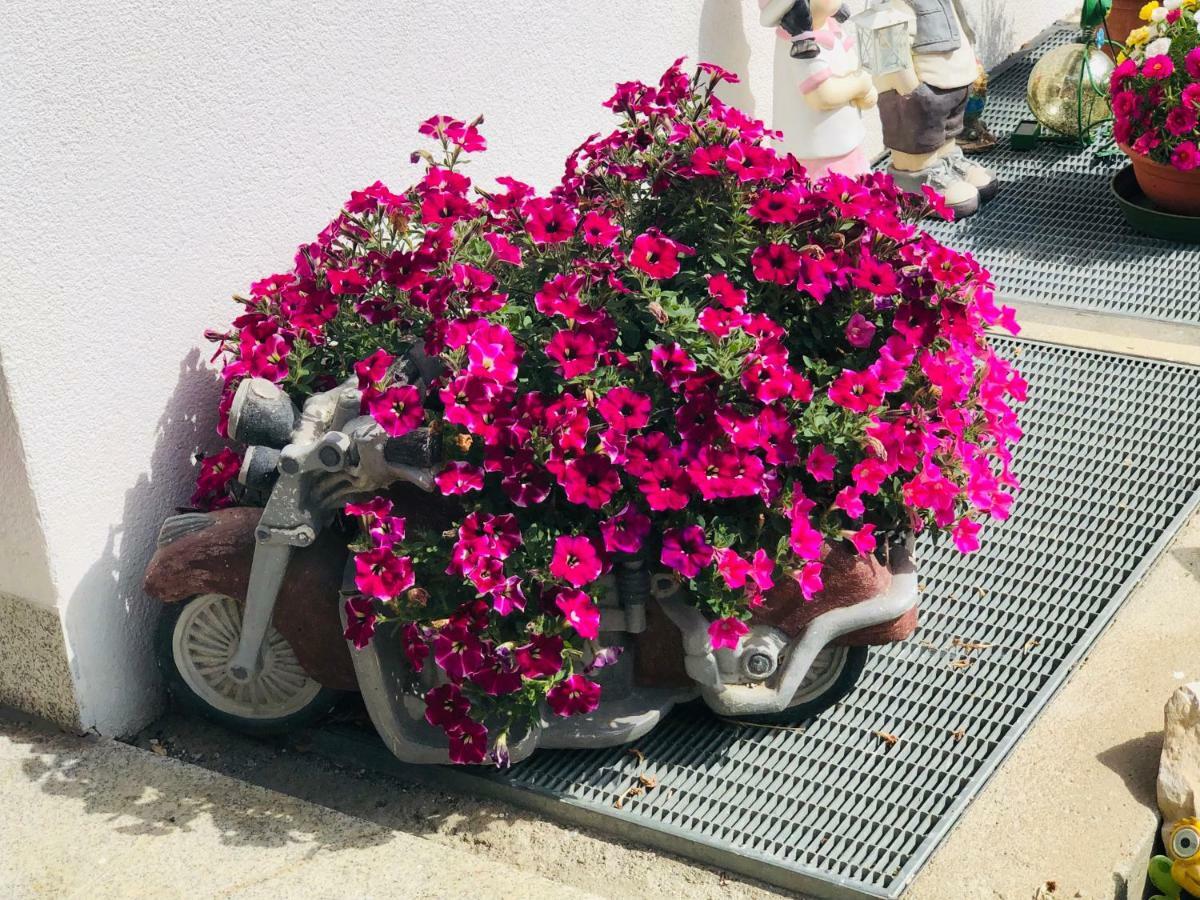 סן לורנצו די סבטו Flatscherhof מראה חיצוני תמונה